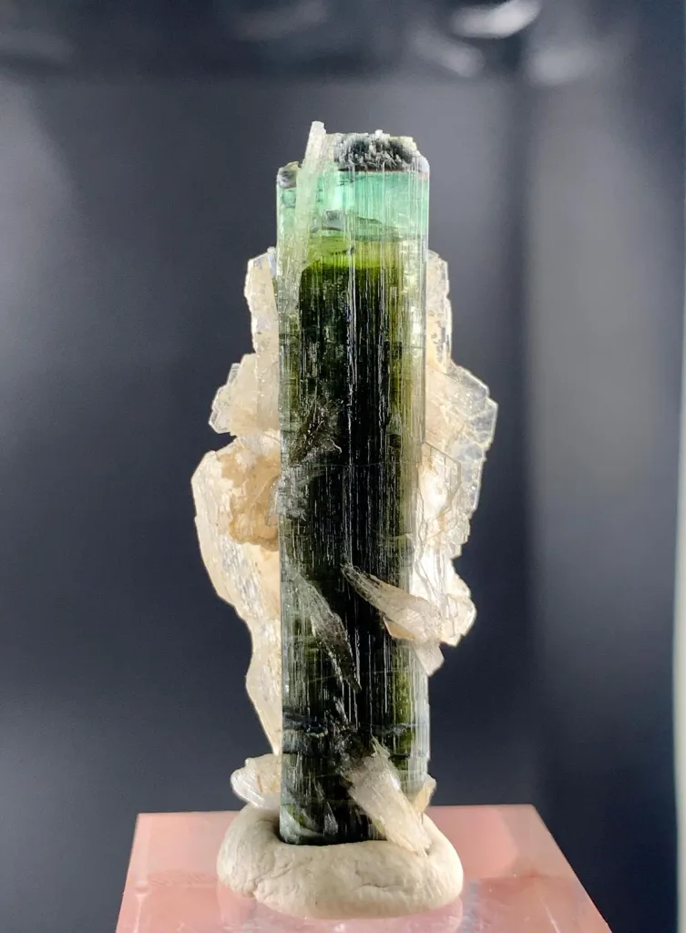 Tricolor Tourmaline on Cleavelandite Albite from Pakistan - image 7