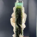 Tricolor Tourmaline on Cleavelandite Albite from Pakistan - image 7