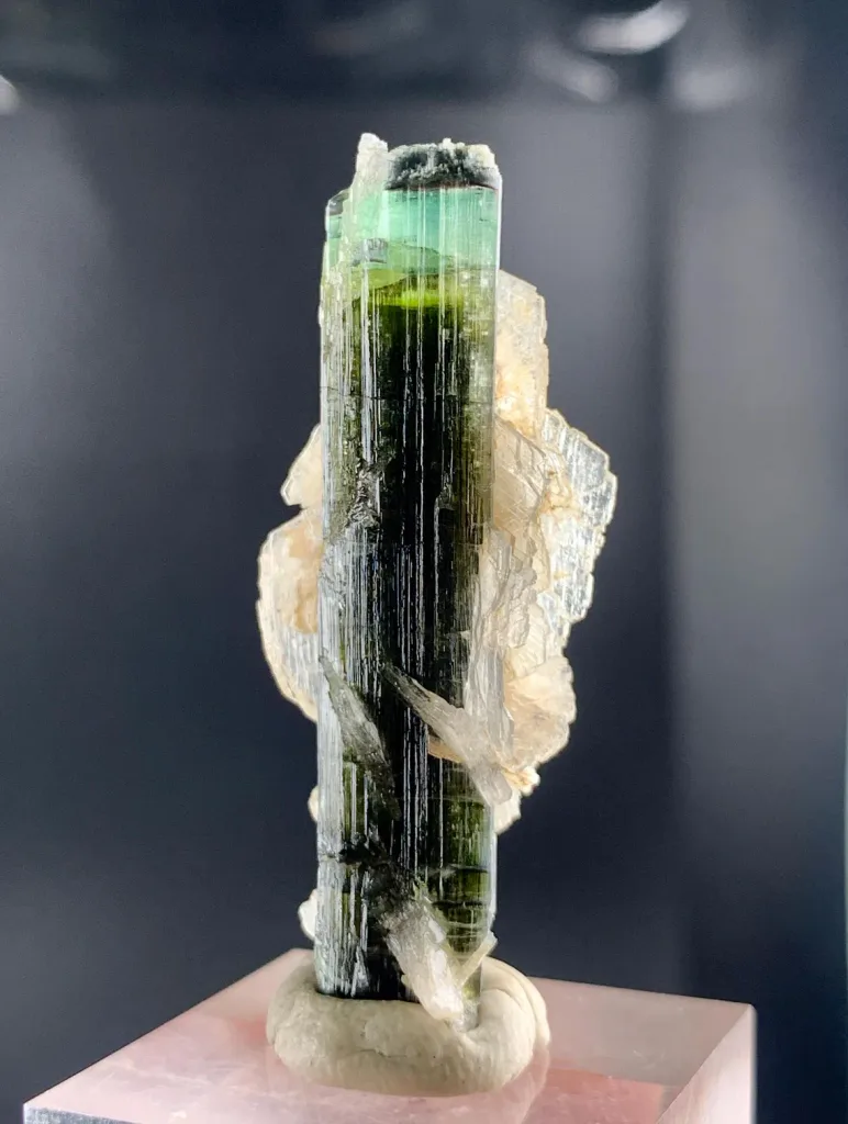 Tricolor Tourmaline on Cleavelandite Albite from Pakistan - image 4