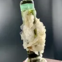 Tricolor Tourmaline on Cleavelandite Albite from Pakistan - image 9
