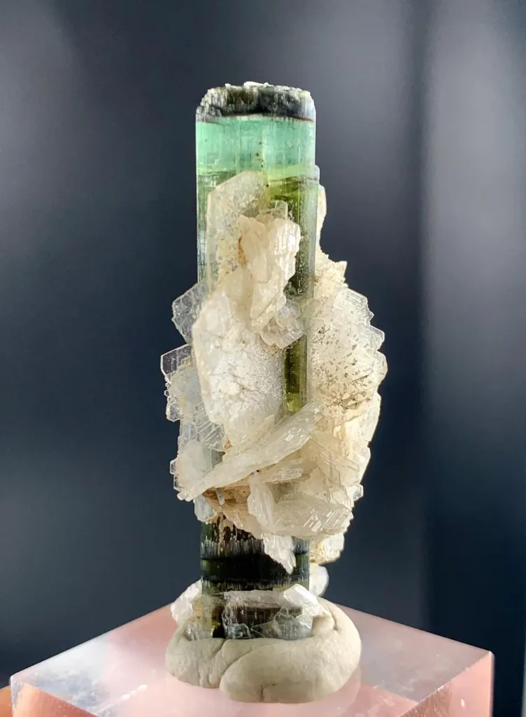 Tricolor Tourmaline on Cleavelandite Albite from Pakistan - image 5