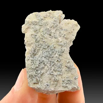 Tridymite with Hematite