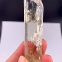 specimen video