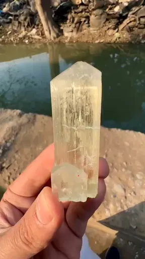 specimen video