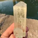 specimen video