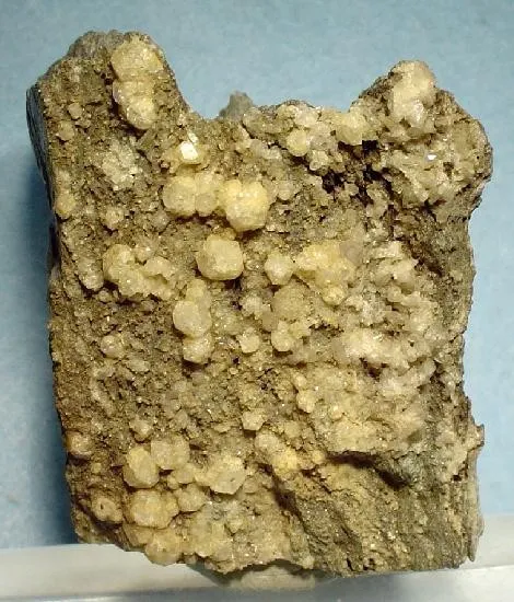 Tsaregorodtsevite image