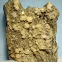 Tsaregorodtsevite - image 1
