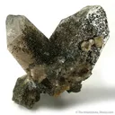 Tsaregorodtsevite on Quartz - image 3