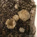 Tsaregorodtsevite on Quartz - image 1