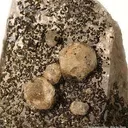 Tsaregorodtsevite on Quartz - image 2