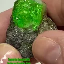 Tsavorite Garnet with Pyrite on Graphite from Tanzania - image 1