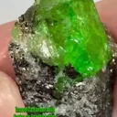 Tsavorite Garnet with Pyrite on Graphite from Tanzania - image 3