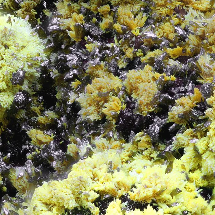 Tsumcorite image