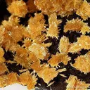 Tsumcorite - image 2