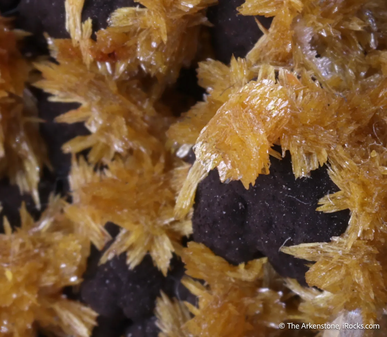 Tsumcorite and Wulfenite - image 6