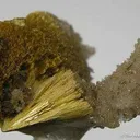 Tsumcorite - image 1