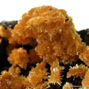Tsumcorite - image 3