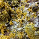 Tsumcorite on Quartz - image 5