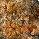 Tsumcorite, Quartz - image 2