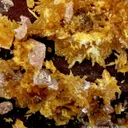 Tsumcorite (Type Locality) - image 4