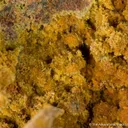 Tsumcorite (type locality) - image 1