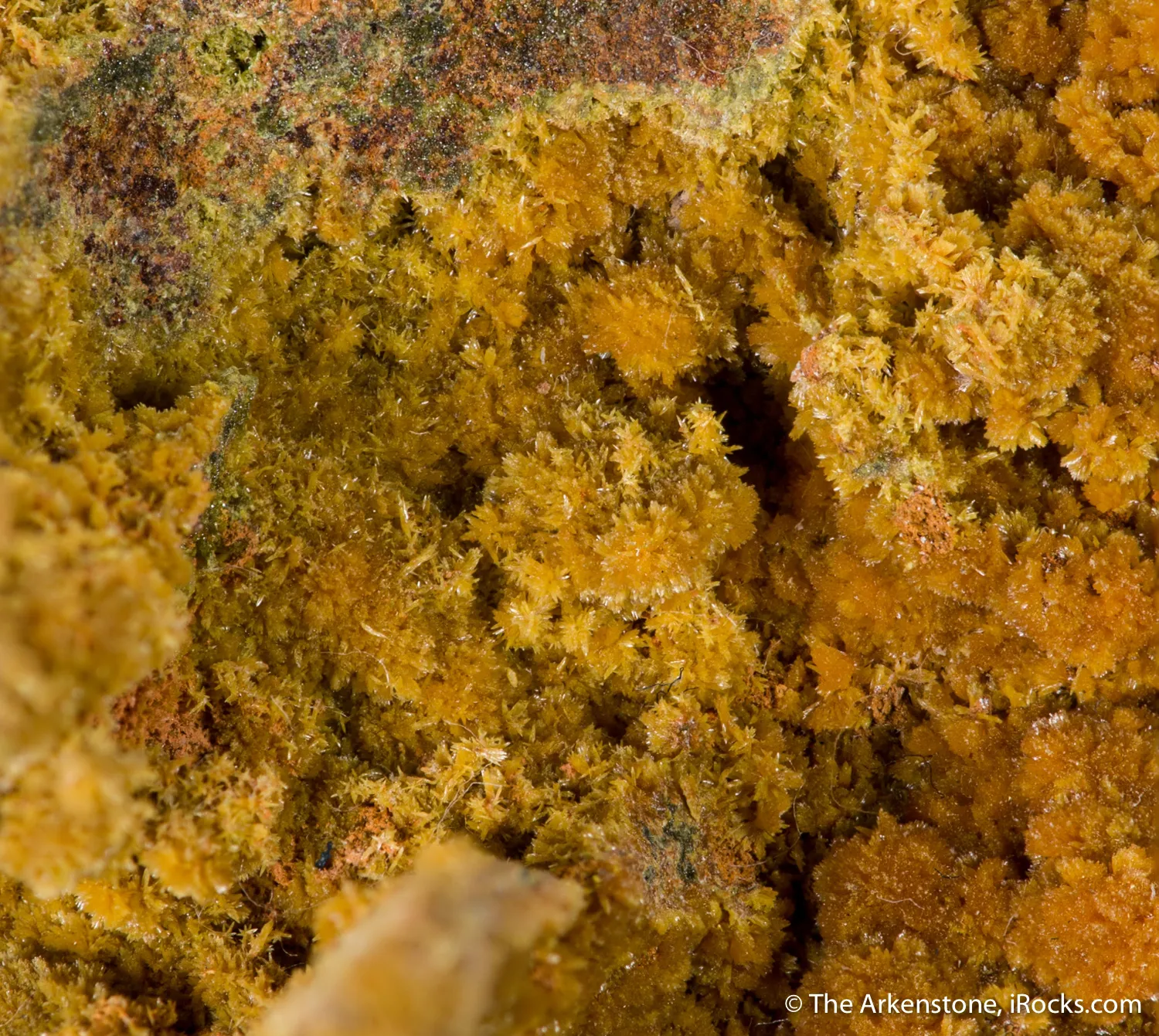 Tsumcorite (type locality) - image 1