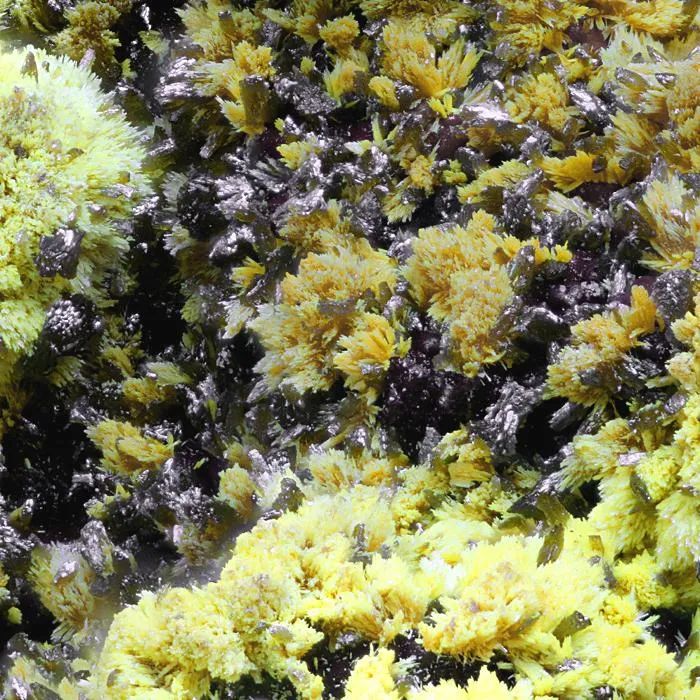 Tsumcorite with Wulfenite and Duftite image