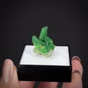 Tsumebite (Type Locality) on Quartz - image 2