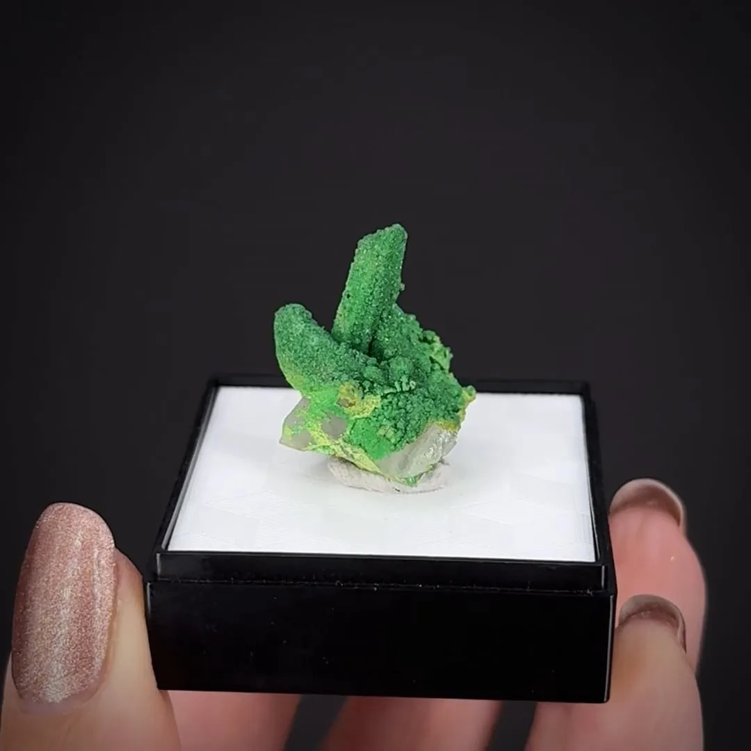 Tsumebite (Type Locality) on Quartz - image 2