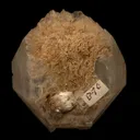 Tunellite - image 4