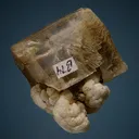 TUNELLITE on Ulexite - image 2