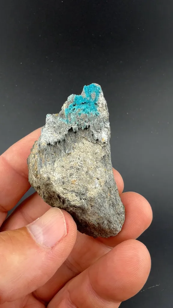 Turquoise image