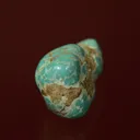 Turquoise - image 3