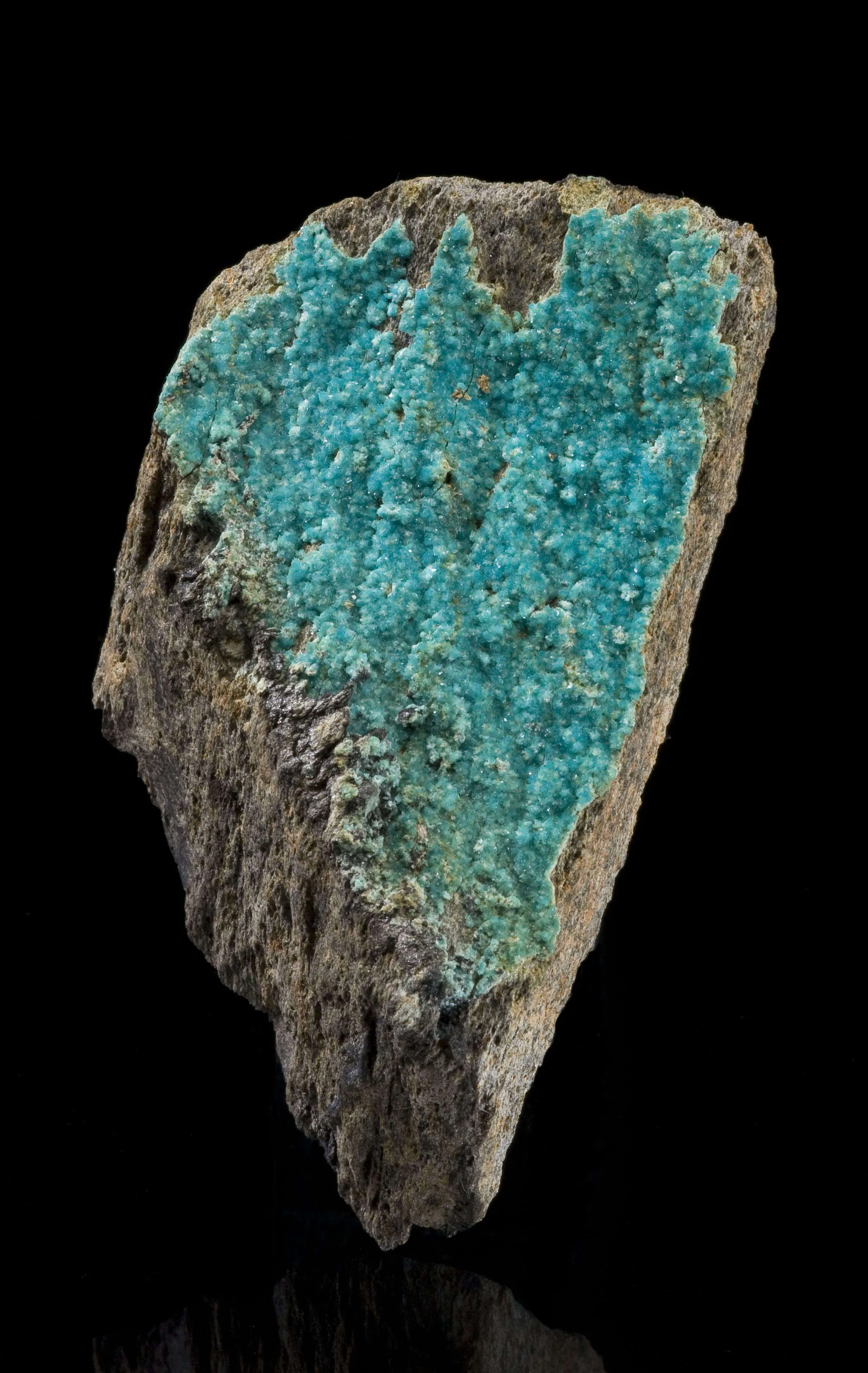 Turquoise - image 1