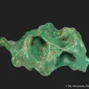 Turquoise - image 3