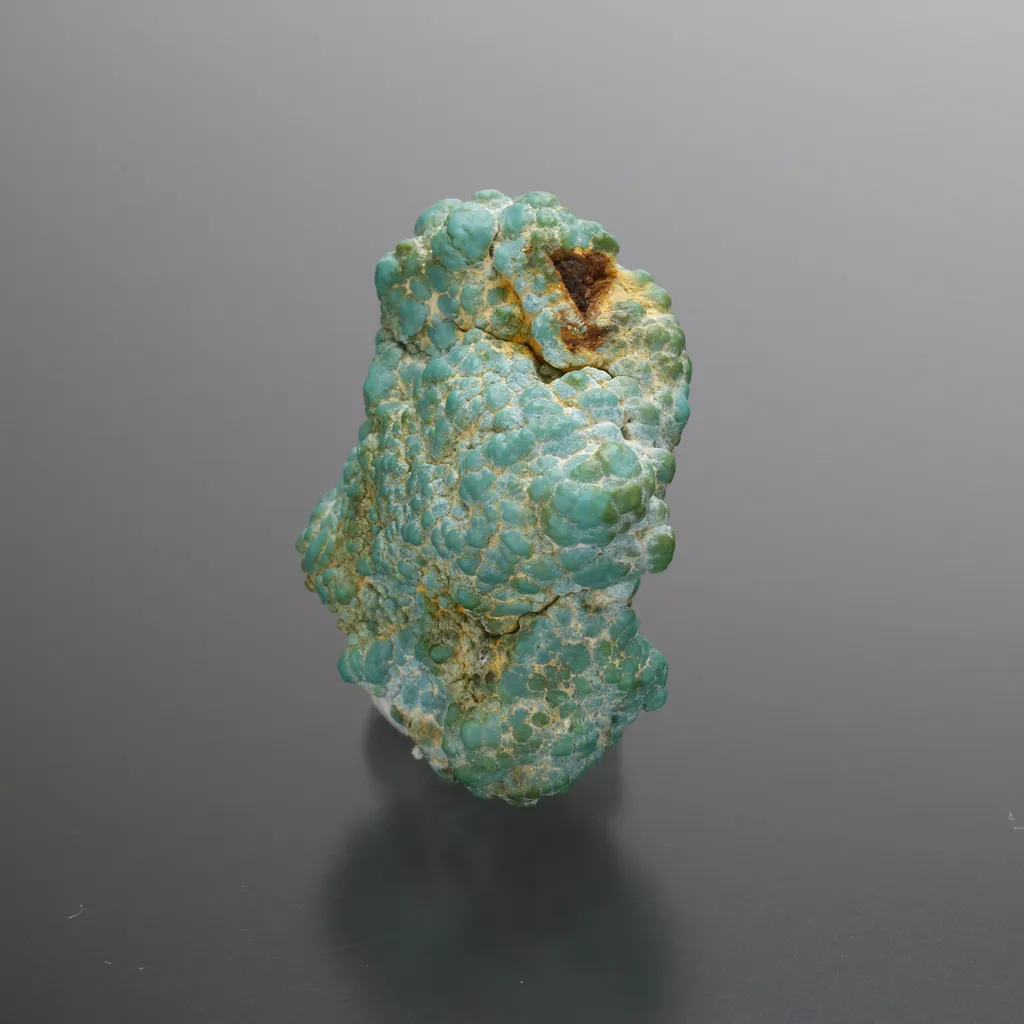 Turquoise - image 2