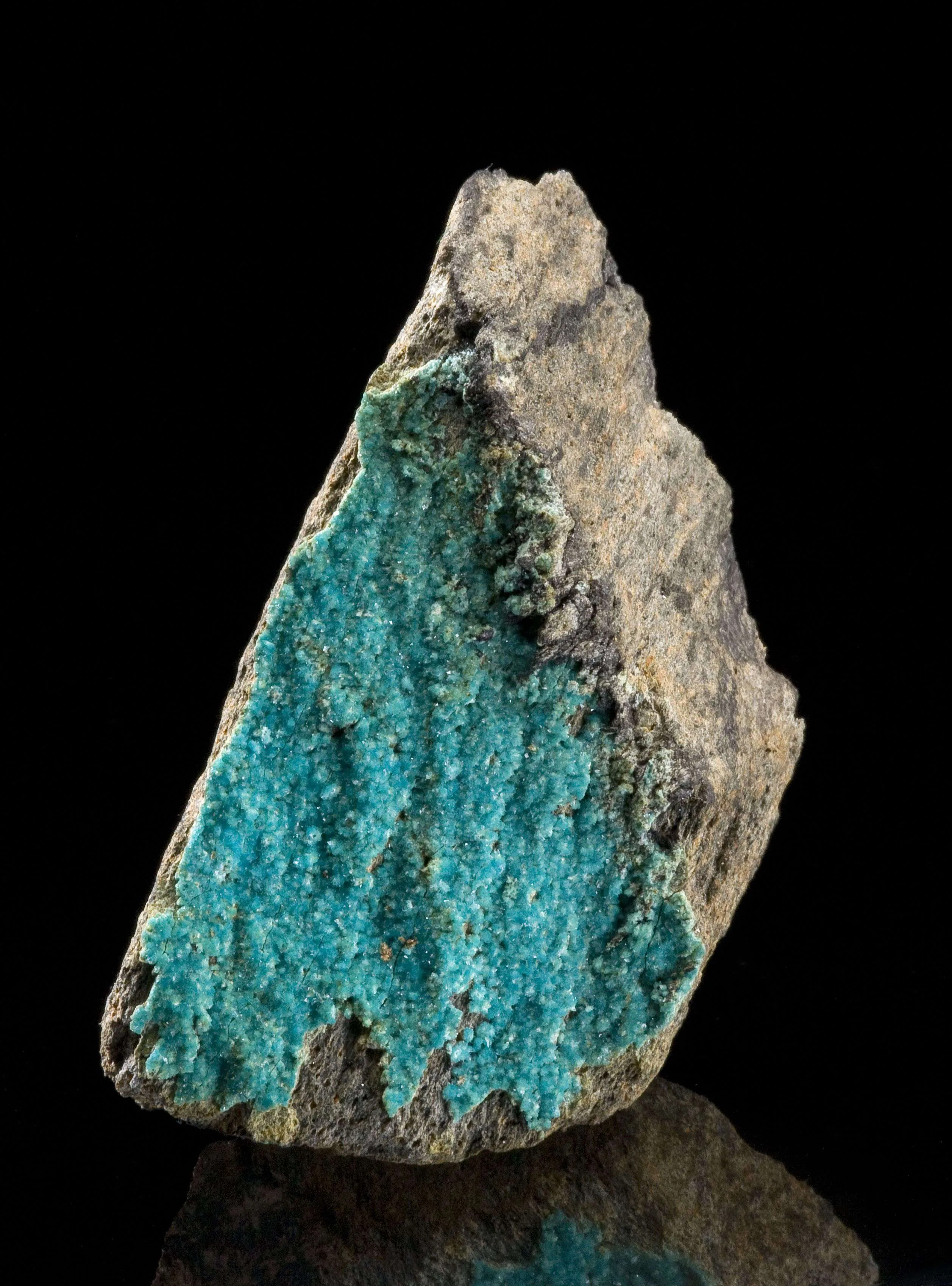 Turquoise - image 3