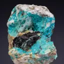 Turquoise - image 1