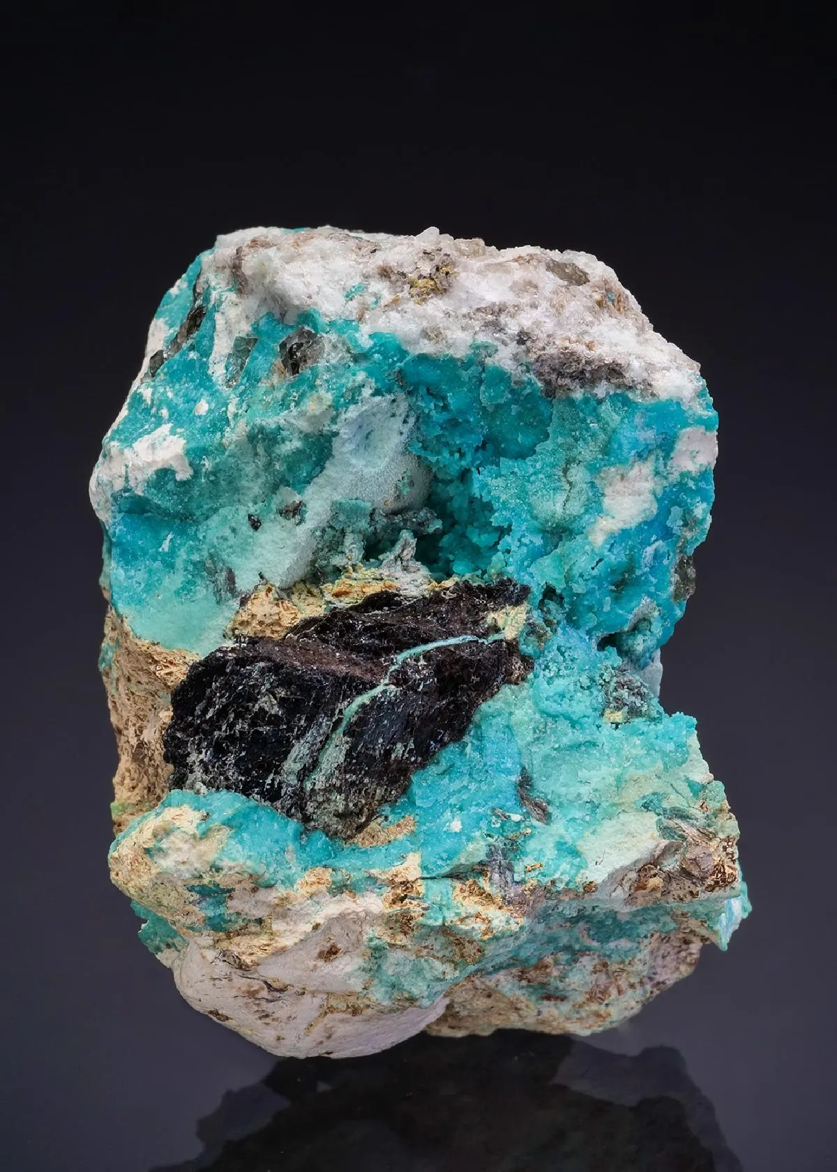 Turquoise - image 1