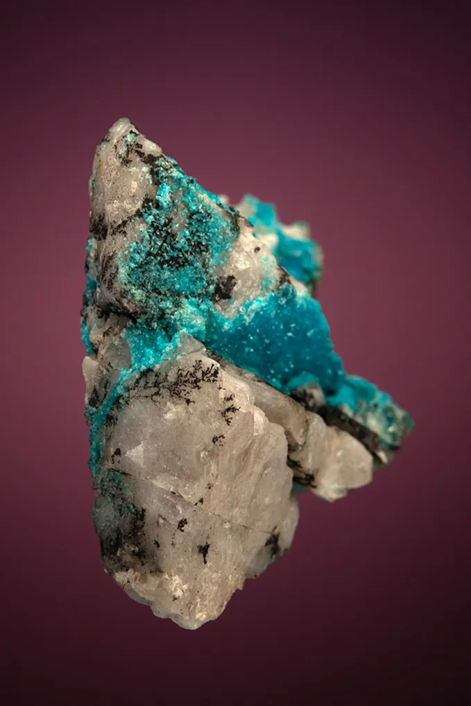 Turquoise - image 4