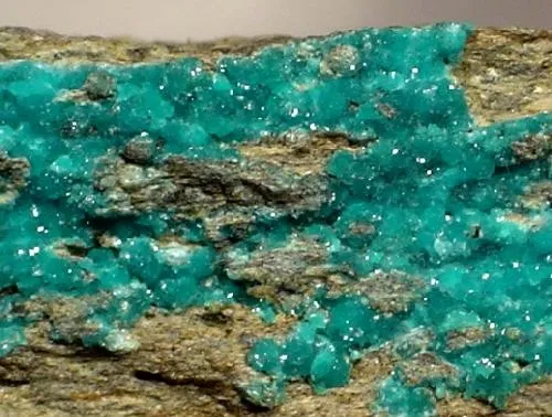 Turquoise - image 2