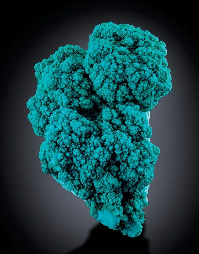 Turquoise image