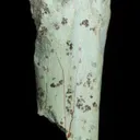 Turquoise after bone (odontolite) - image 3