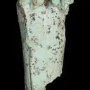 Turquoise after bone (odontolite) - image 6