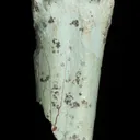 Turquoise after bone (odontolite) - image 1