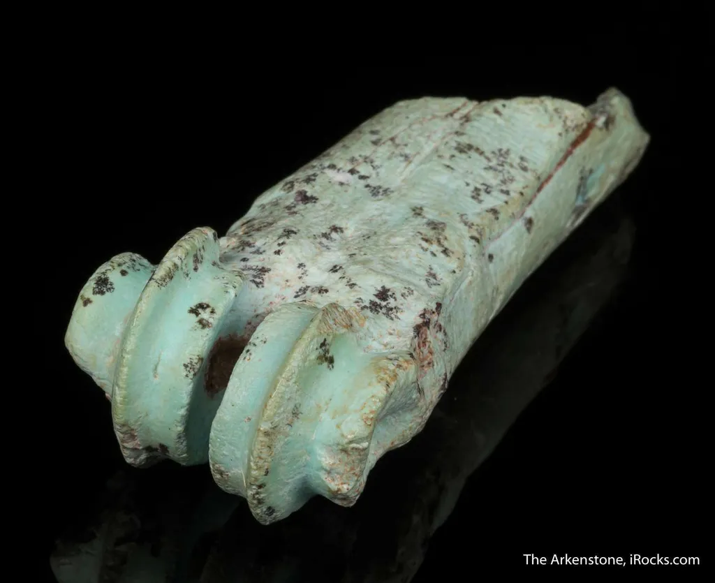 Turquoise after bone (odontolite) - image 9