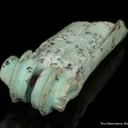 Turquoise after bone (odontolite) - image 9