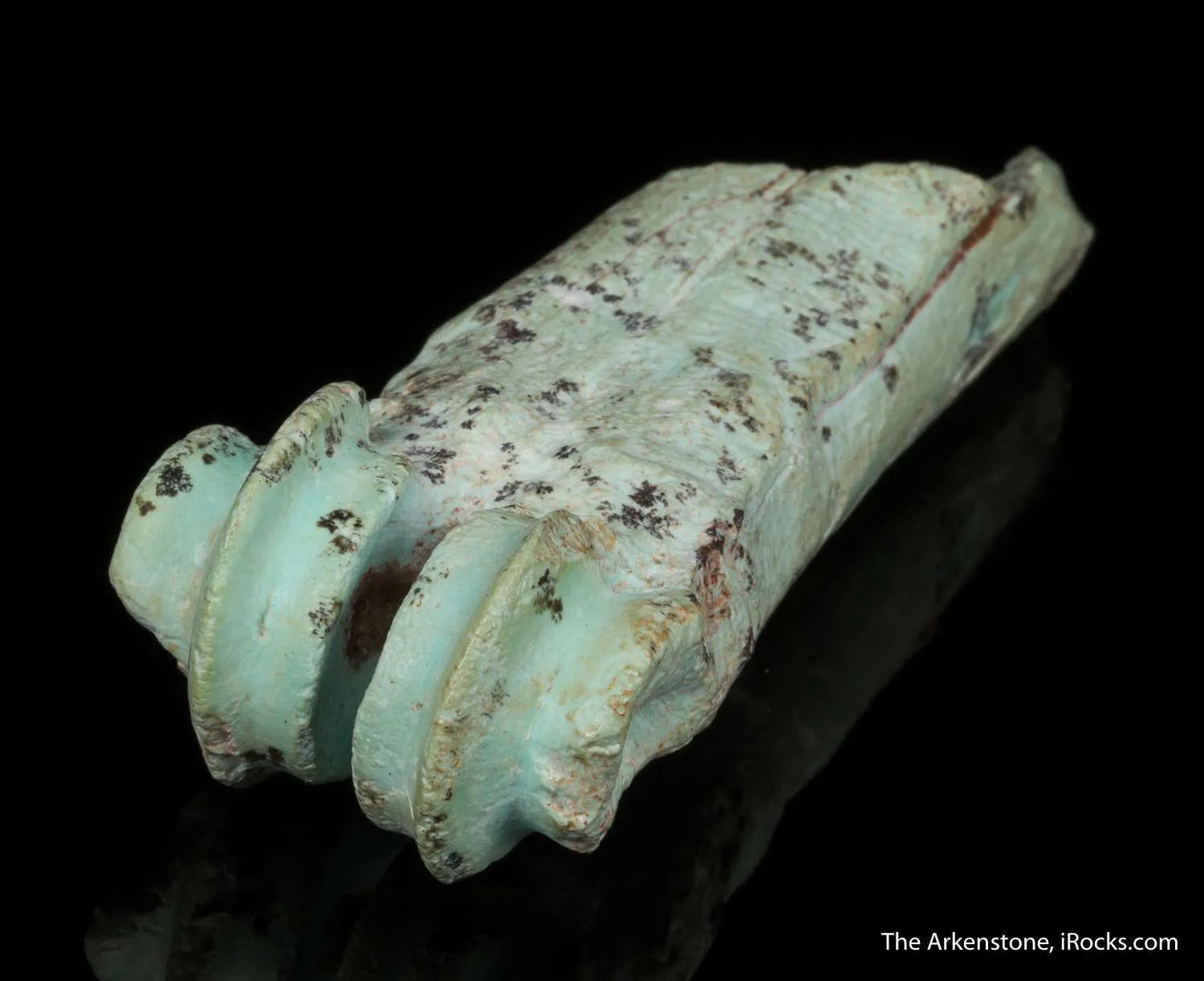 Turquoise after bone (odontolite) - image 9