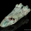 Turquoise after bone (odontolite) - image 10