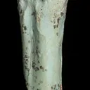 Turquoise after bone (odontolite) - image 4